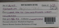 Image Associated With the Occurence